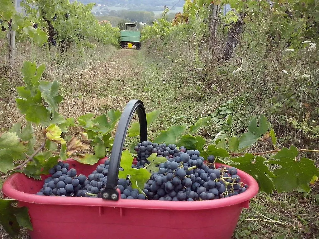 Agriturismo La Querce Villa Rignano Sull Arno