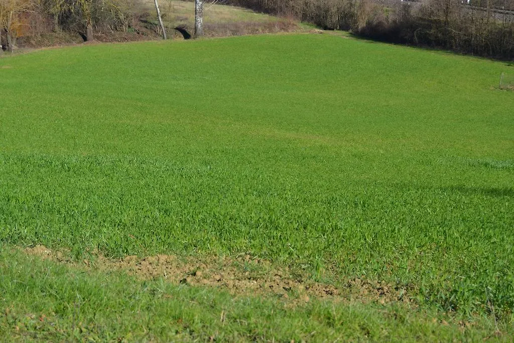 Agriturismo La Querce Villa Rignano Sull Arno 0*,