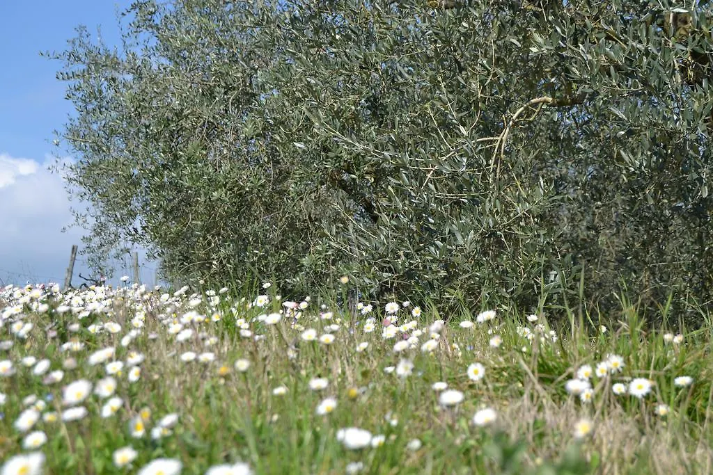 Çiftlik konaklama Agriturismo La Querce Villa Rignano Sull Arno
