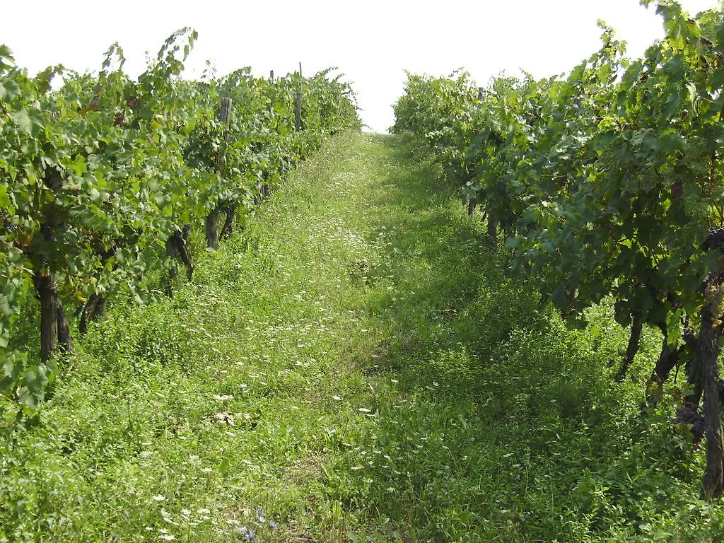 Farm stay Agriturismo La Querce Villa Rignano Sull Arno