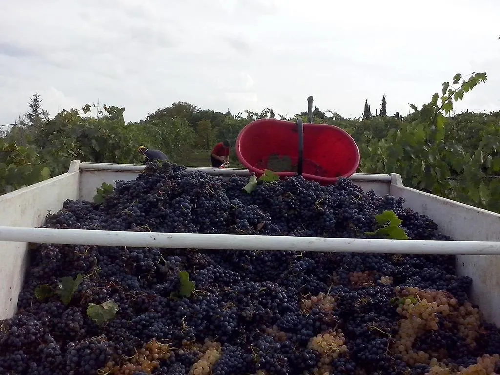 Agriturismo La Querce Риньяно-суль-Арно 0*,