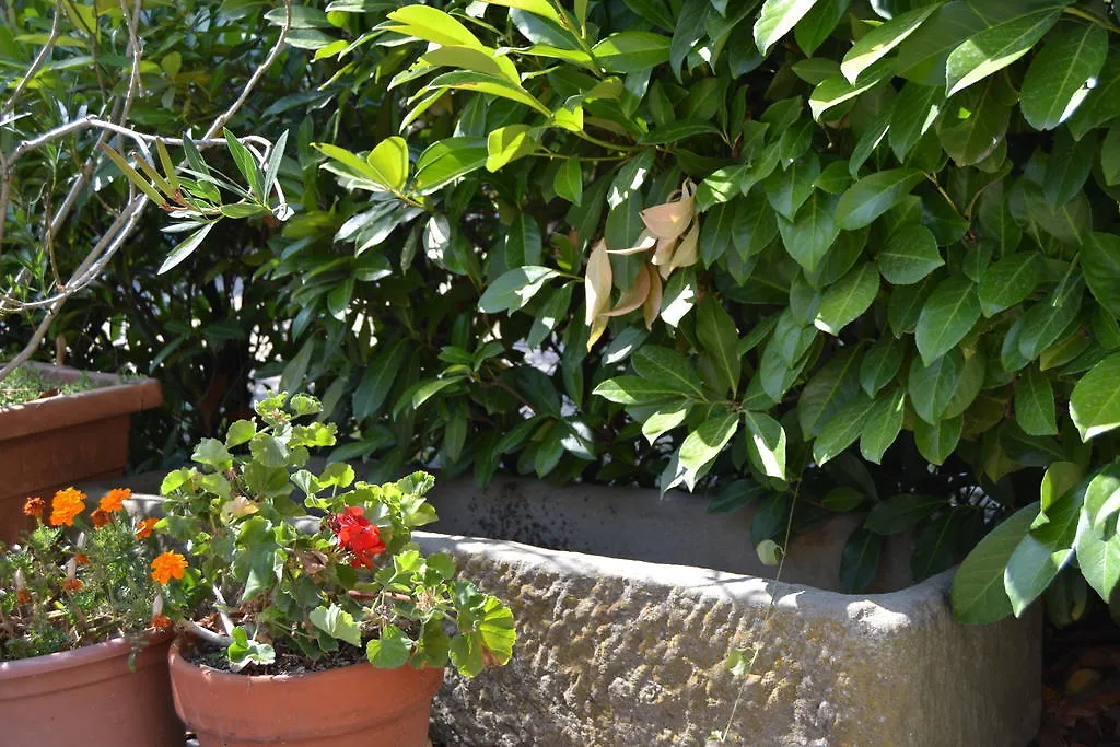 Agriturismo La Querce Риньяно-суль-Арно 0*,