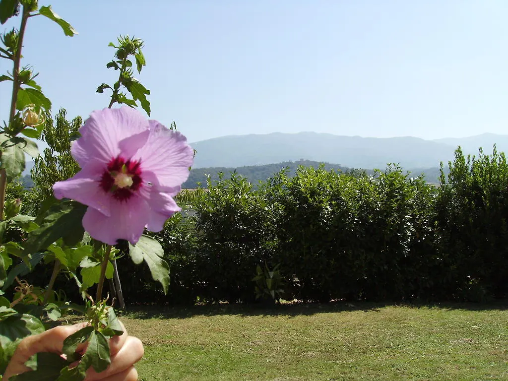 Agriturismo La Querce Риньяно-суль-Арно 0*,